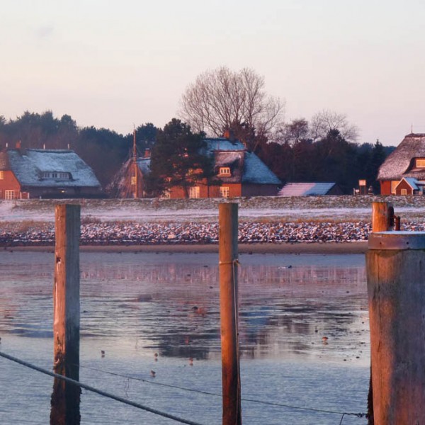 friesenhaus-steenodde-zeschwitz-winterstimmung-steenodde-2