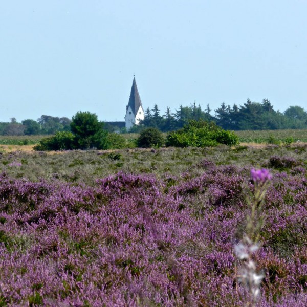 zeschwitz-amrum-nebel-kirche-heide